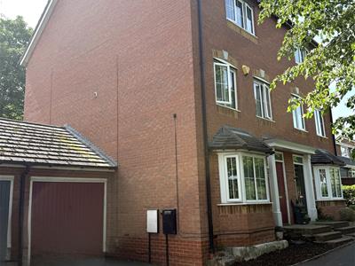 Picture 20